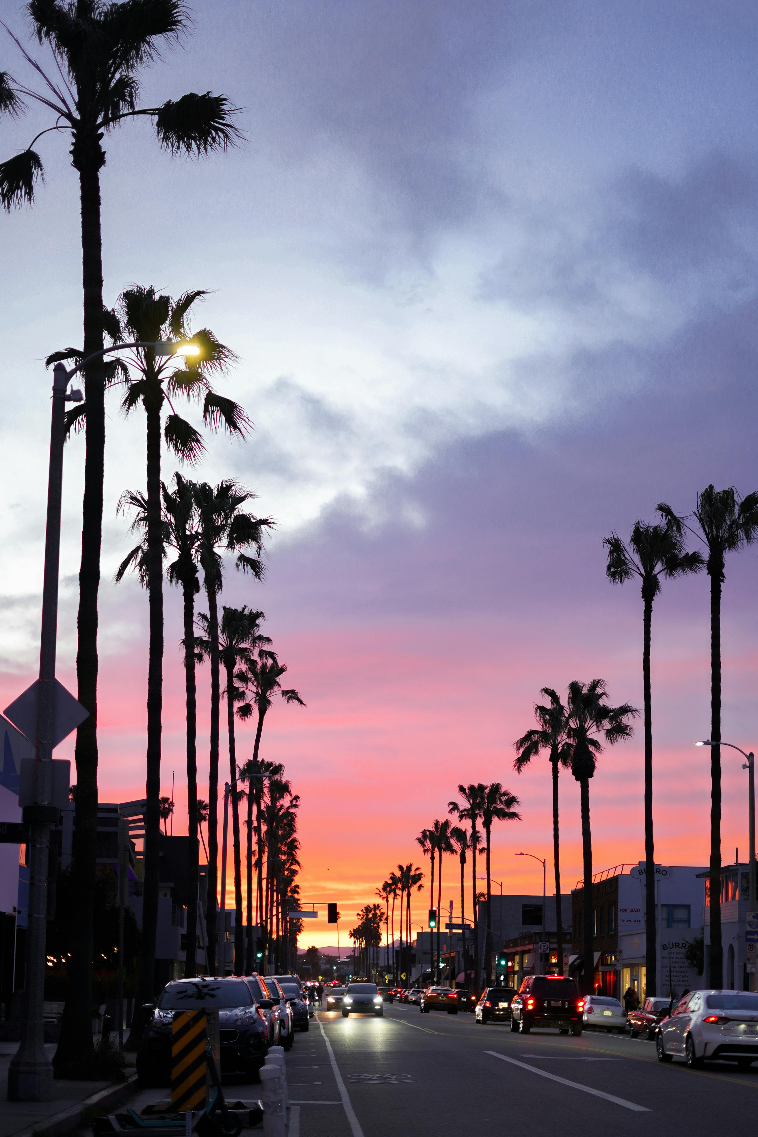 A Southern California street lined with palm trees at dusk